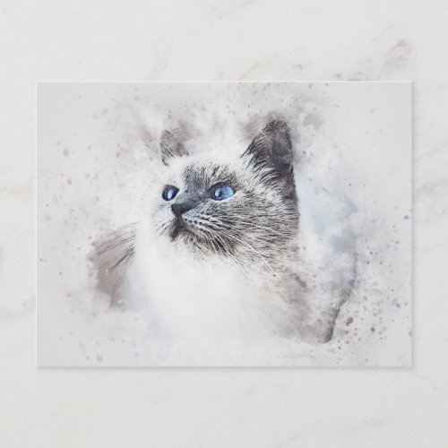 White Kitty Portrait  Abstract  Watercolor Postcard