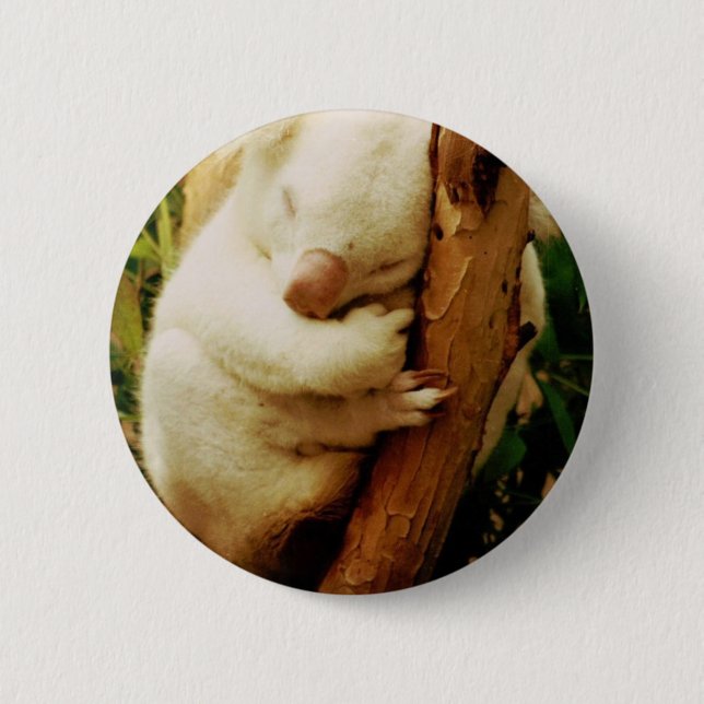 White Koala Bear Button (Front)