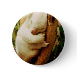 White Koala Bear Button