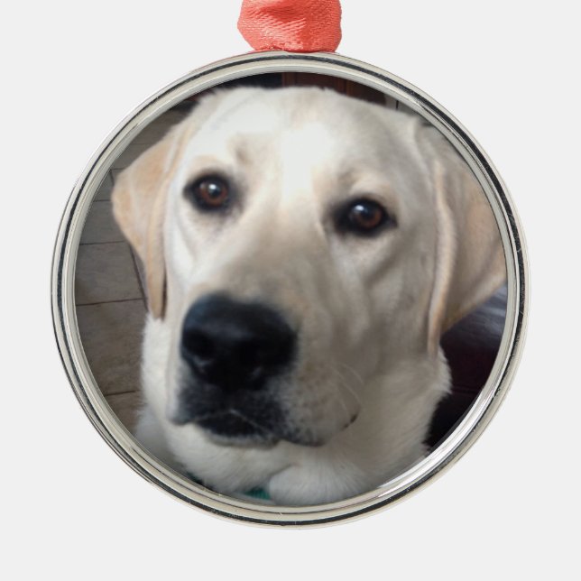 White Lab Metal Ornament (Front)