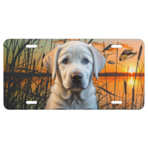 White Labrador Puppy License Plate, Duck Hunting Plate