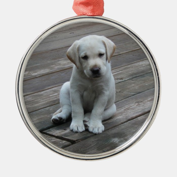 White Labrador Retriever Puppy Christmas Ornament