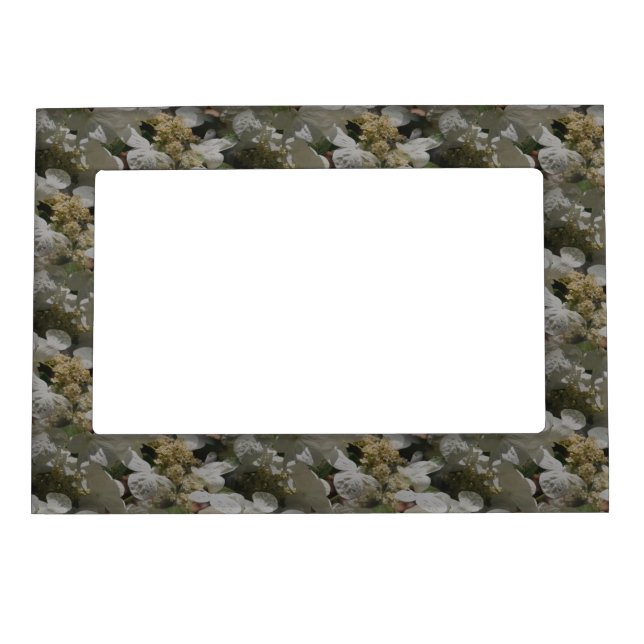 White Lace Cap Hydrangea Floral Pattern Magnetic Frame (Front)