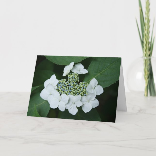 White Lace Greeting Card (Front)
