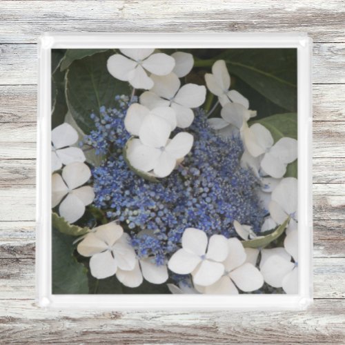 White Lacecap Hydrangea Flowers Acrylic Tray