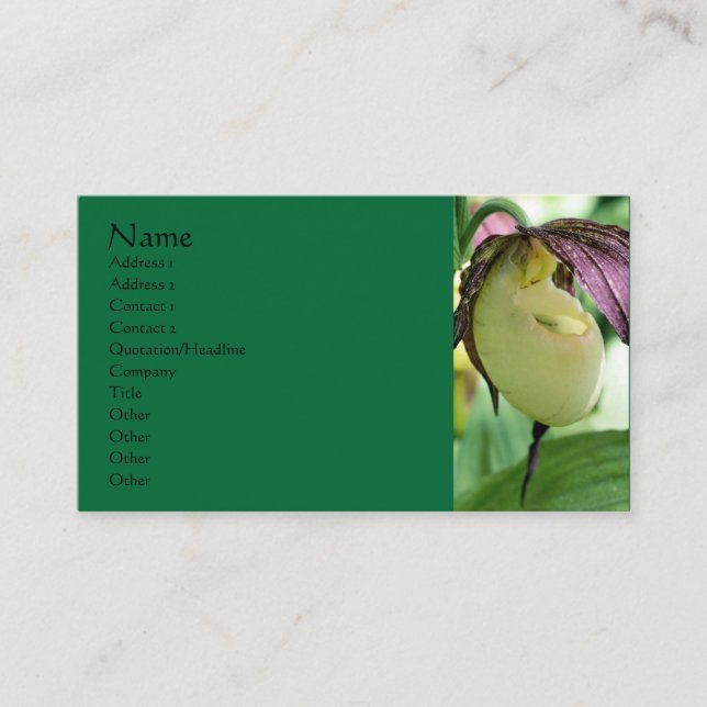 White Lady Slipper Orchid Flower Business Card (Front)