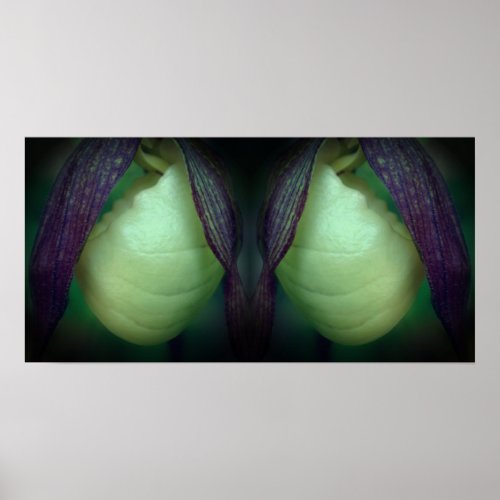 White Lady Slipper Orchid Flower Mirror Abstract Poster