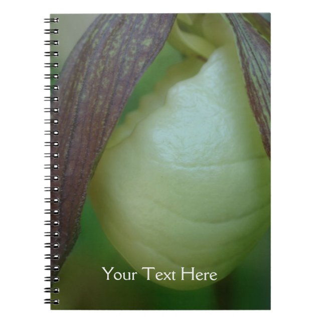 White Lady Slipper Orchid Flower Personalized Notebook (Front)