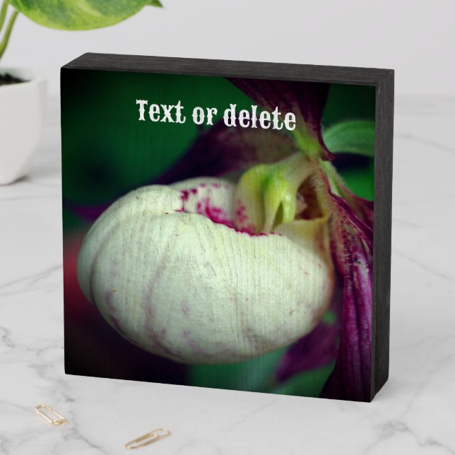 White Lady Slipper Orchid Flower Personalized Wooden Box Sign (In Situ Horizontal)
