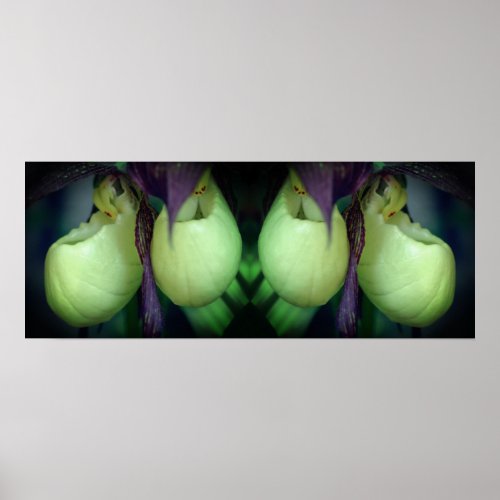 White Lady Slipper Orchid Flowers Mirror Abstract Poster