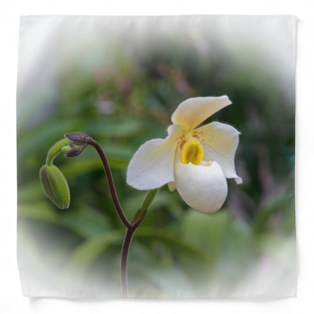 White Lady's Slipper Orchid Bandana (Front)