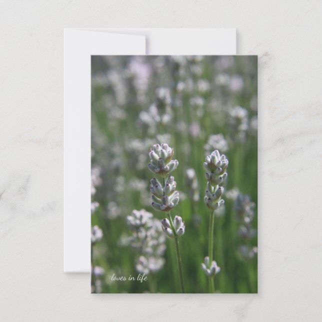 White Lavender Note Card (Front)