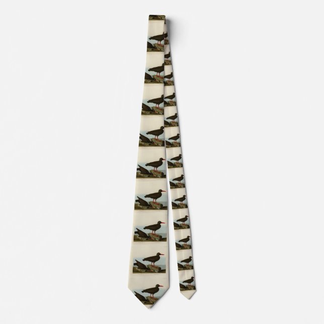 White-legged Oyster-catcher, Audubon Birds America Neck Tie (Front)