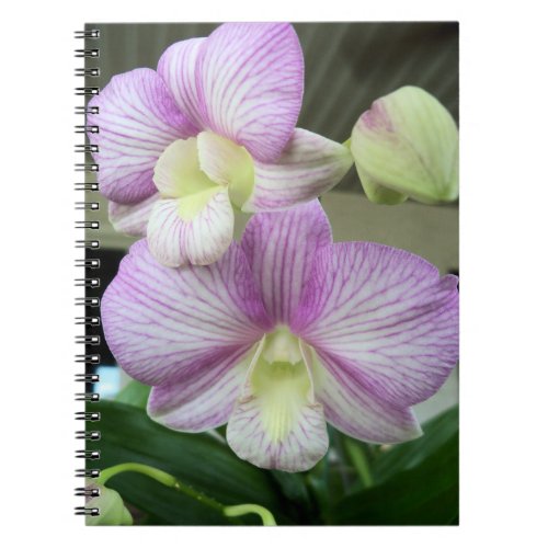 White  light purple orchids on a handy notebook