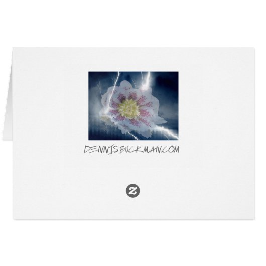 White Lightning Cards (Back Horizontal)