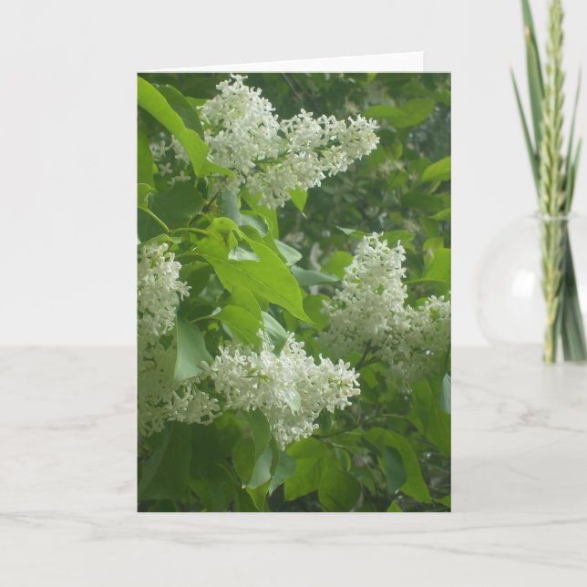 White Lilac card (Front)
