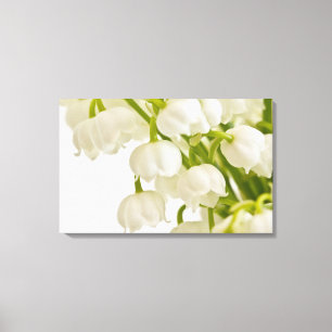 White Lilies Canvas Print