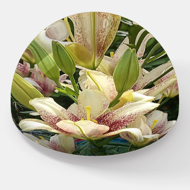 White Lilies  Dome  Paperweight (Angled)