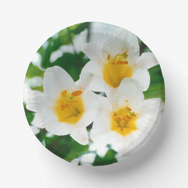 White Lilies - Lily Flower Lilium candidum  Paper Bowls (Front)