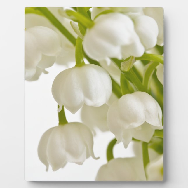 White Lilies Plaque (Front)