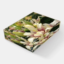 White Lilies Rectangle