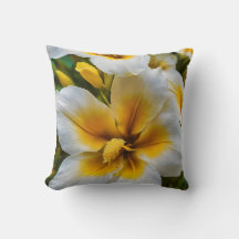 White lilies with bright yellow centers