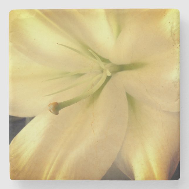 White Lillum Flower Photo Marble Stone Coaster (Front)