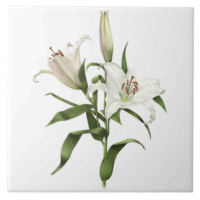 White Lily Asiatic Flowers Botanical Art Ceramic Tile (Front)
