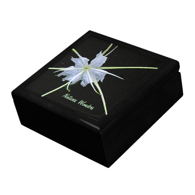 White Lily -  Black Background Gift Box  Large (Side)