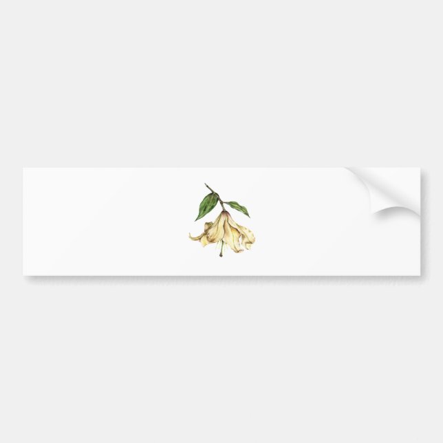 White Lily Bumper Sticker (Front)