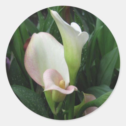 White lily classic round sticker