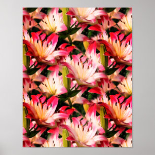 White Lily Flower Nature Pattern Poster
