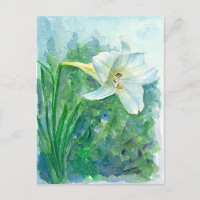 White Lily Flower Watercolor Painting Postcard (Front)