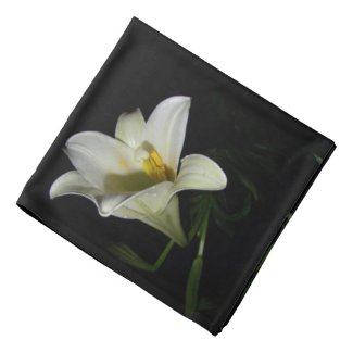White Lily Flowers Photography Bandana Scarf