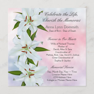 White Lily Funeral Announcements