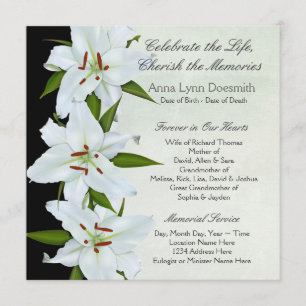 White Lily Funeral Announcements