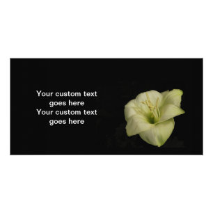 White Lily in the Night Card