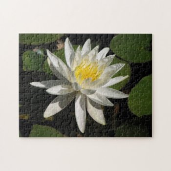 White Lily Jigsaw Puzzle by hawkysmom at Zazzle
