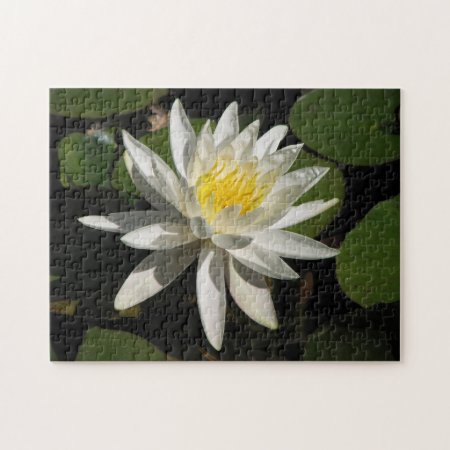 White Lily Jigsaw Puzzle