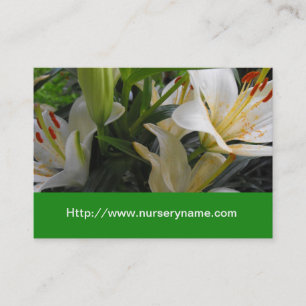 white lily nursery business card