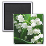 White Lily of the Valley Magnet