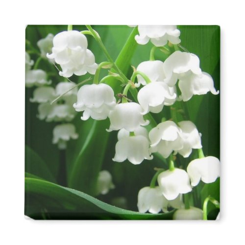 White Lily of the Valley Magnet