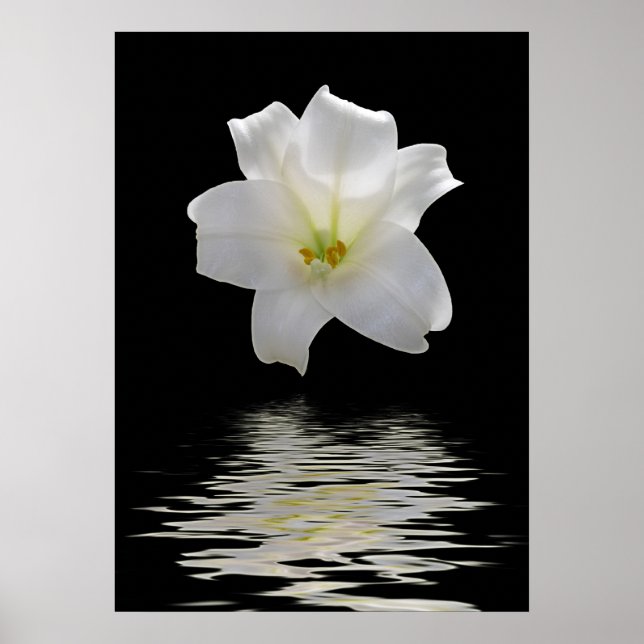 white lily poster (Front)