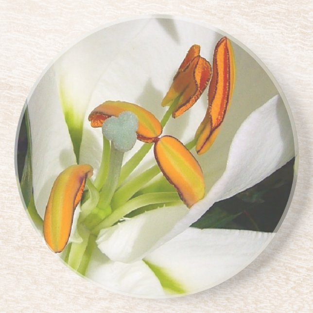 White Lily Sandstone Coaster (Front)