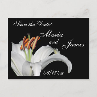 White Lily Save the Date Announcement Postcard