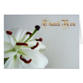 White lily. text. (Front Horizontal)