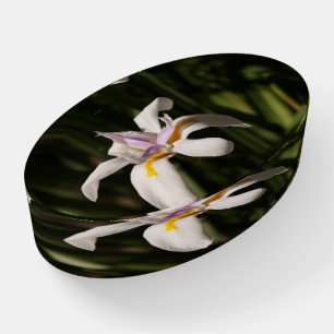 White Lily w purple and yellow  Glass Paperweight