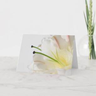 White Lily With Yellow Center Any Occasion Card