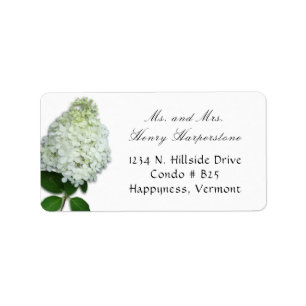 White Limelight Hydrangea Floral Address Label