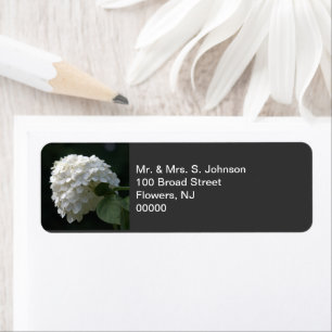 White Limelight Hydrangea Label